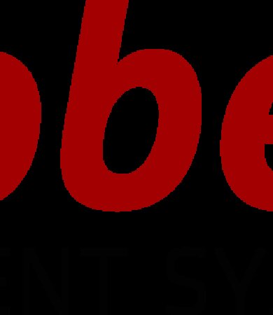 hobex